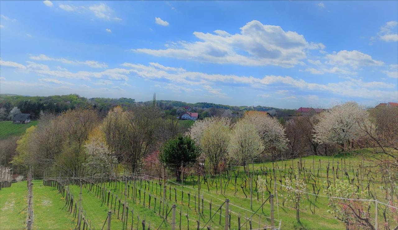 Apartma-Spa Natura Sveti Jurij ob Scavnici Экстерьер фото